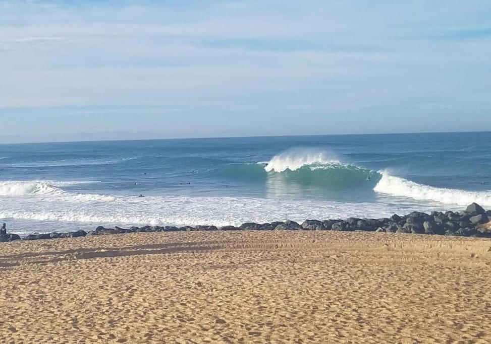 Appartement A 70M De La Plage Et L Estacade De Capbreton Exteriér fotografie